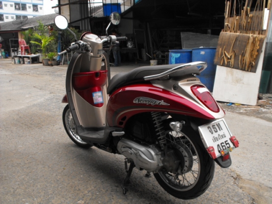 ขาย Scoopies I ปี 53