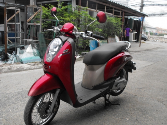ขาย Scoopies I ปี 53