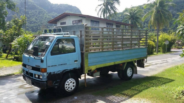 Isuzu nkr110 คาร์โก้สวยพร้อมใช้งาน ติดต่อ080-1405528