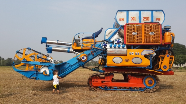 รถเกี่ยวข้าวศักดิ์พัฒนาการเกษตร โทร 0817638762 ไพทูลย์