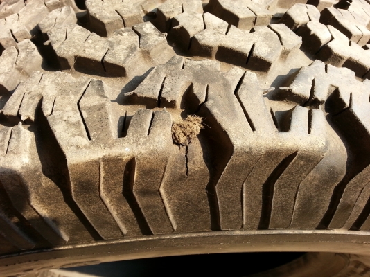 ขายยาง BF ขอบ 16 ครับ ปี 13 ครับ 1 เส้น สวยๆครับ เส้นละ 1000 บาทครับ ขายยาง BF ขอบ 16 ครับ ปี 13 ครับ 1 เส้น สวยๆครับ เส้นละ 1000 บาทครับ