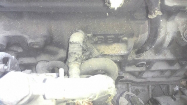 6ล้อบรรทุกน้ำมัน NKR 110แรงม้า รถคัทซีสวย เครื่องแน่นดี เล่มพร้อม ราคาคุยได้ 087-2976734 095-0403929