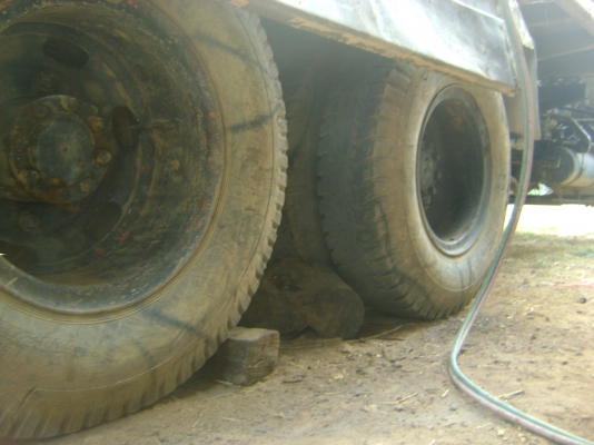 หลง 2 เพลา เครื่อง 220 แรงเทอร์โบ  ราคา 720,000 บาท(( เจ้าของใช้ถมที่ตัวเองก่อนครับ..งดการขายไว้กอ่น )