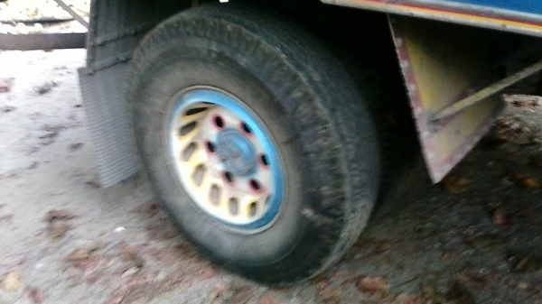 รถอีซูซุ 6 ล้อ รั้ว ( ไม่ดั้ม )  NPR59L  -  115 แรงม้า. ปี 36 สนใจติดต่อ  081 - 6079515