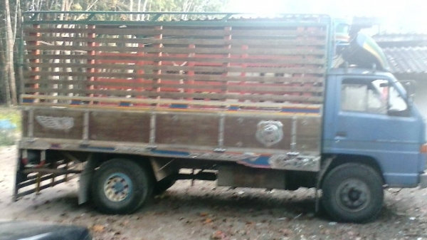 รถอีซูซุ 6 ล้อ รั้ว ( ไม่ดั้ม )  NPR59L  -  115 แรงม้า. ปี 36 สนใจติดต่อ  081 - 6079515