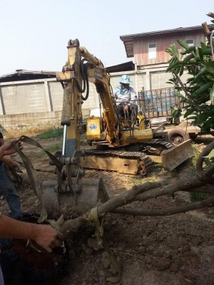 โคมัสสุ PC20-5 ใช้งานไดปรกติ..เครื่องดีปั้มดี..เอกสารอินวอย