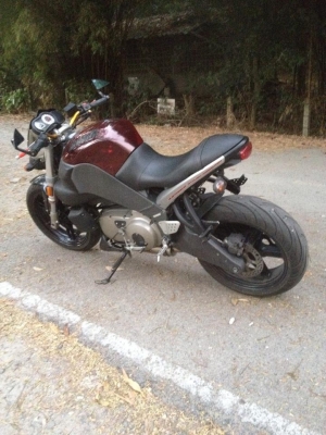ขาย buell xb12s ปี2008