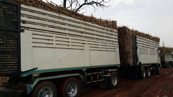 ขายรถพ่วง 22 ล้อ 2 เพลา แม่.ลูก กระบะเหล็กดั้ม HINO 320 ปี.ส ค .46  รถสวย ยางดี ราคาย้อมๆแค่ . 2050000 สนใจรีบจองด่วน