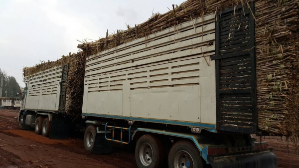 ขายรถพ่วง 22 ล้อ 2 เพลา แม่.ลูก กระบะเหล็กดั้ม HINO 320 ปี.ส ค .46  รถสวย ยางดี ราคาย้อมๆแค่ . 2050000 สนใจรีบจองด่วน