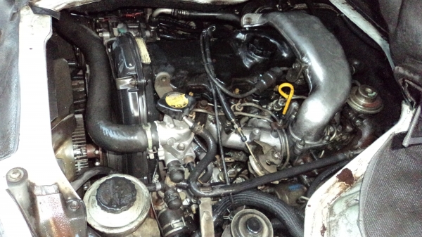 หลังคาเตี้ยช่วงยาว หลังคาเตี้ยช่วงยาว