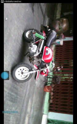 ขายด่วน ถูกจริงๆ   มังกี้ กอลิล่า