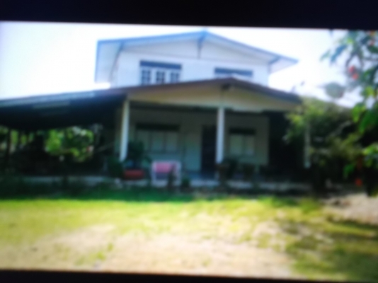 ขายบ้านพร้อมที่ดิน 2ไร่ ซื่อกับเจ้าของเอง