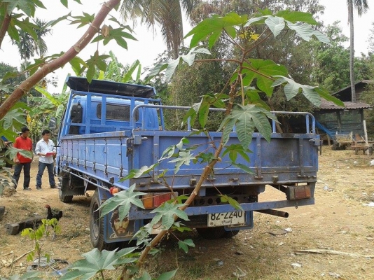 ขาย6ล้อ ISUZU NPR 135แรงปี46 เครื่องดี คัชซีสวย ภายในสวย ยางดี สภาพพร้อมใช้งาน เอกสารพร้อมโอน จัดไฟแนนซ์ได้ เงื่อนไขง่ายๆวันเดียวรับรถ สนใจโทร 090-8588220คุณนะ 093-3258446คุณบิวตี้ ID:narong498 หรือ www.truck.in.th/498 หรือfb:ณรงค์ ซื้อขายรถมือสอง (เว็บไซ