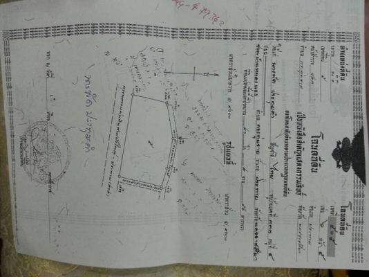 ขายที่ดิน21ไร่ ติดถนนเส้น ประทาย-สีดา ที่สวยหน้ากว้างมาก ราคาไร่ละ1350000 เอกสารโฉนดที่ดิน พร้อมโอน สนใจโทร 090-8588220คุณนะ 093-3258446คุณบิวตี้ ID:narong498 หรือ www.truck.in.th/498 หรือfb:ณรงค์ ซื้อขายรถมือสอง(เว็บไซต์ส่วนตัว)