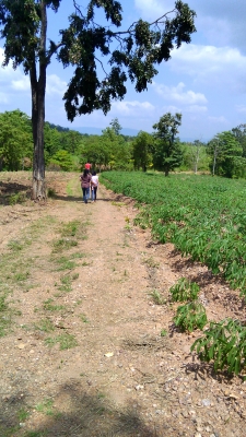 ซ้ายที่ 60 ไร่