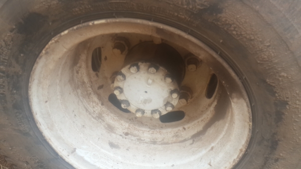 ขาย 115 ดั้ม เฟืองF ขายตามสภาพ ขาย 115 ดั้ม เฟืองF ขายตามสภาพ