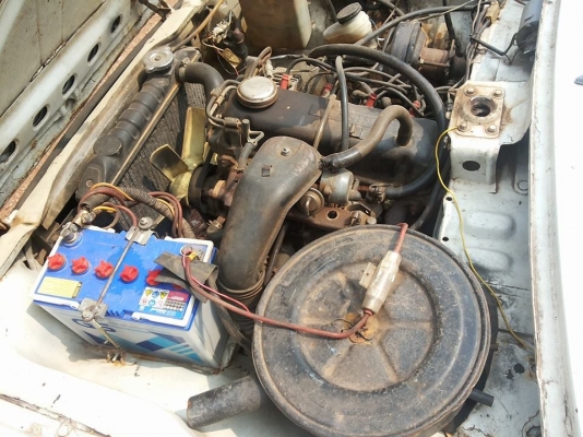 ขายมาสด้าน้อย