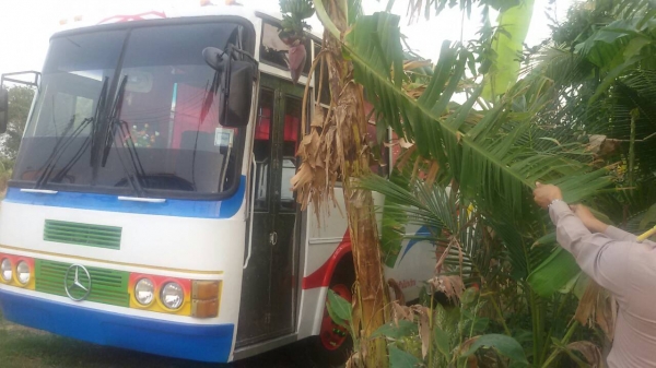 ขายรถบัสพัดลมสภาพพร้อมใช้ ทำสีมาใหม่ จดทะเบียนใหม่ ทำ พรบ ใหม่ ทรงนางพญา เครื่อง EH700 ปั้มลม เบรคจิฟฟี่ พวงมาลัยพาวเวอร์ คัสสซี isuzu   คานหน้า isuzu  คานหลัง  HINO ZM เบรคน้ำรุ่นใหม่ ยางเรเดียลใหม่หมดหกเส้น แหนบ benz ใหญ่ 4 ตับ คันโครงหน้าหลังพร้อมโช้ค