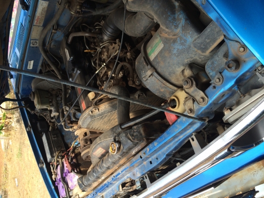 ขาย ไมตี้ x ปี 40 ตอนเดียว สภาพสวยๆๆ