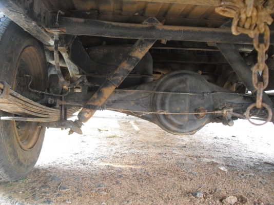 ม้าสด้าแฟมิเลี่ย ม้าสด้าแฟมิเลี่ย