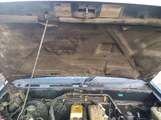 รถกะบะISUZUSPARK EXมังกรทอง 2.5DI ปี39เดิมบาง ไม่เคยทำสีน่าใช้ขายถูก รถกะบะISUZUSPARK EXมังกรทอง 2.5DI ปี39เดิมบาง ไม่เคยทำสีน่าใช้ขายถูก