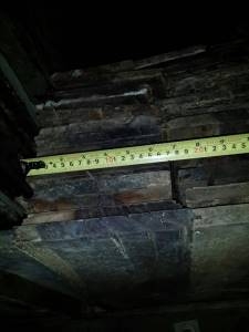 ไม้ชิงชัน