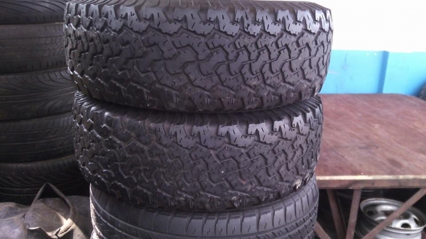 ขายbf 31 ขอบ 15 2 เส้น ขายbf 31 ขอบ 15 2 เส้น