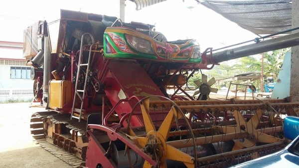 ขายช้าง สภาพสวย ราคา 750,000ต่อรอง