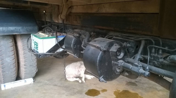 ขาย 6 ล้อดั้มยาง 900 KR360 เครื่อง EH100 150 แรงม้า ดั้มยาว 4 เมตร เฟืองท้ายใหญ่ พวงมาลัยพาวเวอร์ ทะเบียนพร้อม ขาย 6 ล้อดั้มยาง 900 KR360 เครื่อง EH100 150 แรงม้า ดั้มยาว 4 เมตร เฟืองท้ายใหญ่ พวงมาลัยพาวเวอร์ ทะเบียนพร้อม