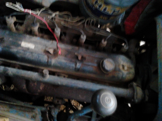 ขายเทนเลอราคาถูก ขายเทนเลอราคาถูก