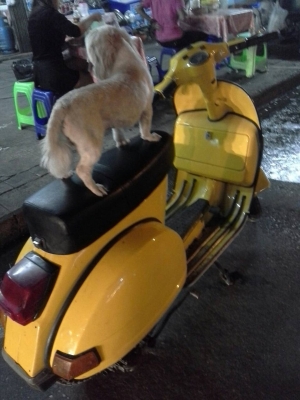 ขาย Vespa PX150e นางฟ้า ถูกๆ