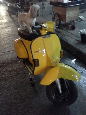 ขาย Vespa PX150e นางฟ้า ถูกๆ