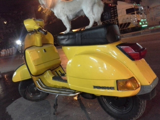 ขาย Vespa PX150e นางฟ้า ถูกๆ