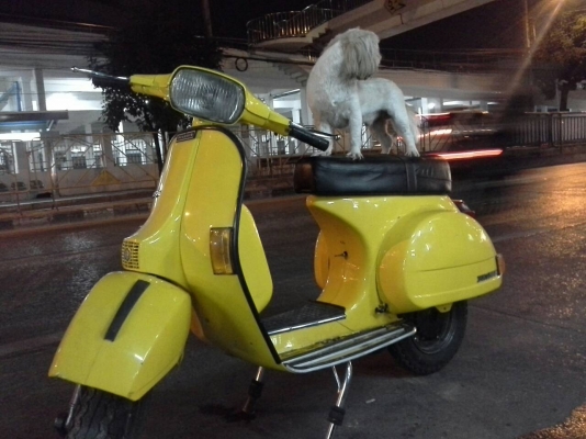 ขาย Vespa PX150e นางฟ้า ถูกๆ