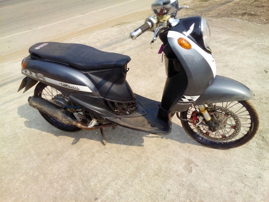 ฟีโน่ปี51