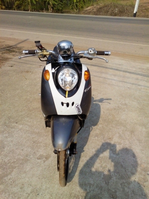 ฟีโน่ปี51