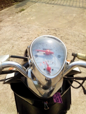 ฟีโน่ปี51