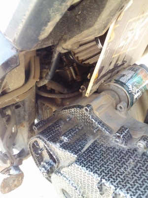 ฟีโน่ปี51