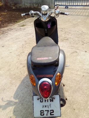 ฟีโน่ปี51