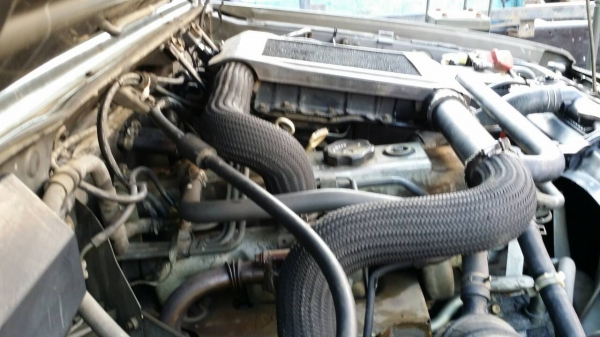 จิ๊ปมิตซูู