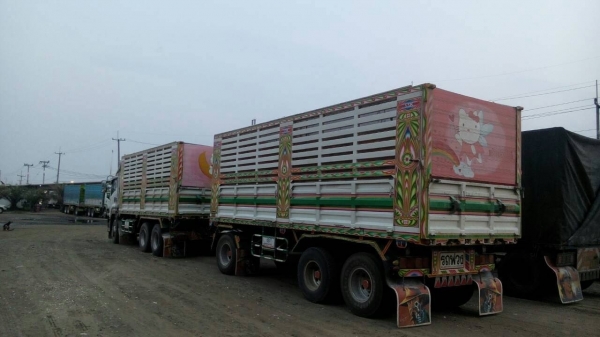 ขายดาวน์รถพ่วง 22 ล้อ 2 เพลา กระบะเหล็กคอกเกษตรดั้ม ISUZU 360  ปี.56 รถสวยวิ้งน้อย ยาง.90\% แม่.ลูก ราคา.1200000 ต่อรอง