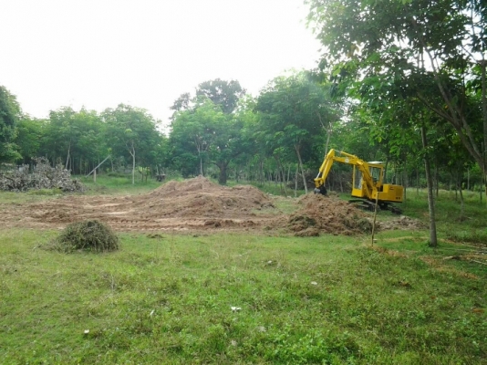 ขายรถแบคโฮเล็ก ยันม่า