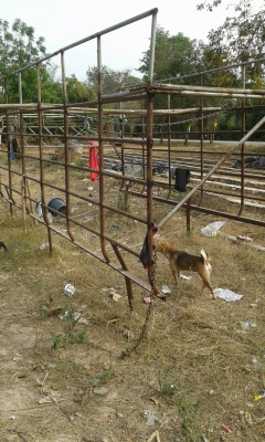 (ร้านรุ่งโรจน์ 082-1057078)ขาย 6 ล้อ ISUZU NKR 110 แรงม้า รถห้างแท้) รถสวยจัด เกียร์สั้น ยางดีพร้อมใช้5 เส้น เจ้าของจะเปลี่ยนยางใหม่เอี่ยมให้2เส้น พื้นกระบะปูเหล็ก พร้อมโอน พร้อมใช้งาน (ร้านรุ่งโรจน์ 082-1057078)ขาย 6 ล้อ ISUZU NKR 110 แรงม้า รถห้างแท้) รถสวยจัด เกียร์สั้น ยางดีพร้อมใช้5 เส้น เจ้าของจะเปลี่ยนยางใหม่เอี่ยมให้2เส้น พื้นกระบะปูเหล็ก พร้อมโอน พร้อมใช้งาน