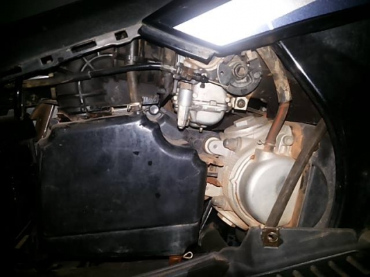 Nouvo Mx 14,xxx โลแท้