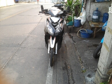 มีโอปี2552