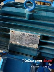 ปั้มลมพูมา 3  หัว ขนาด 5  แรง