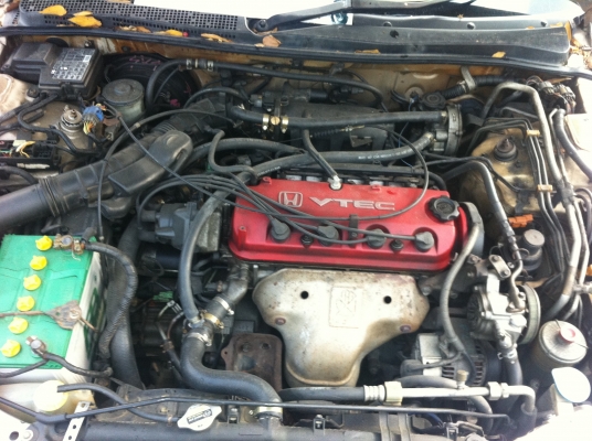 ขายด่วน