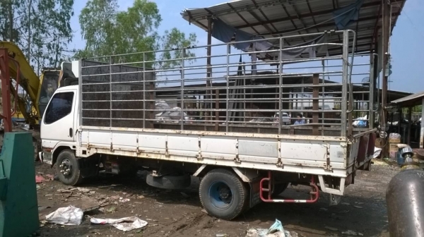 ขาย 6 ล้อ CANTER ปี 45 กระบะยาว 5 เมตร เครื่อง 4D34 เทอร์โบอินเตอร์ 140 แรงม้า คัสซีสวยตลอดเส้น พาวเวอร์ แอร์เย็น ทะเบียนเต็มพร้อมโอนครับ ขาย 6 ล้อ CANTER ปี 45 กระบะยาว 5 เมตร เครื่อง 4D34 เทอร์โบอินเตอร์ 140 แรงม้า คัสซีสวยตลอดเส้น พาวเวอร์ แอร์เย็น ทะเบียนเต็มพร้อมโอนครับ