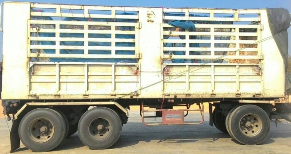 ขายพ่วงแม่ลูกไม่ดั้ม HINO 344 ซีรีส์500 ปี53 ขายพ่วงแม่ลูกไม่ดั้ม HINO 344 ซีรีส์500 ปี53