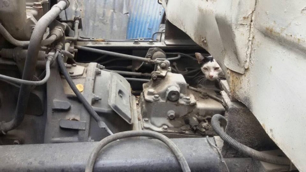 ขายด่วน ขายด่วน